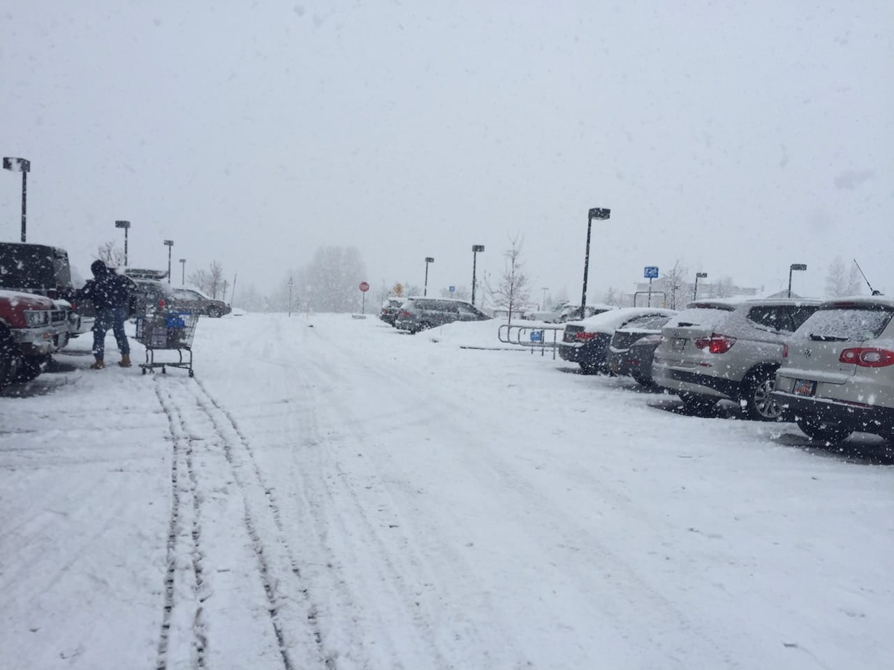 Snow Removal Emergency Support