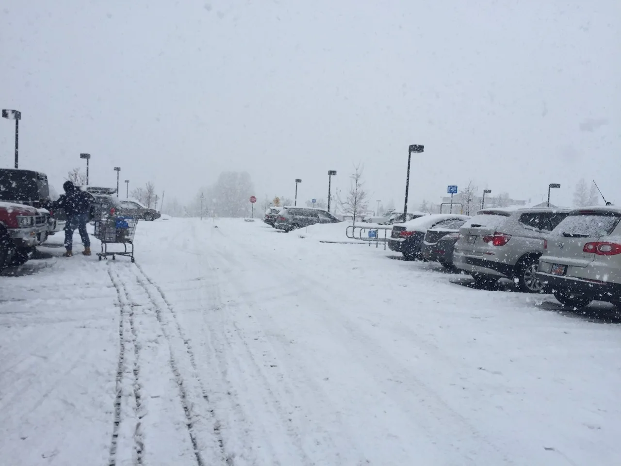Snow Removal Emergency Support