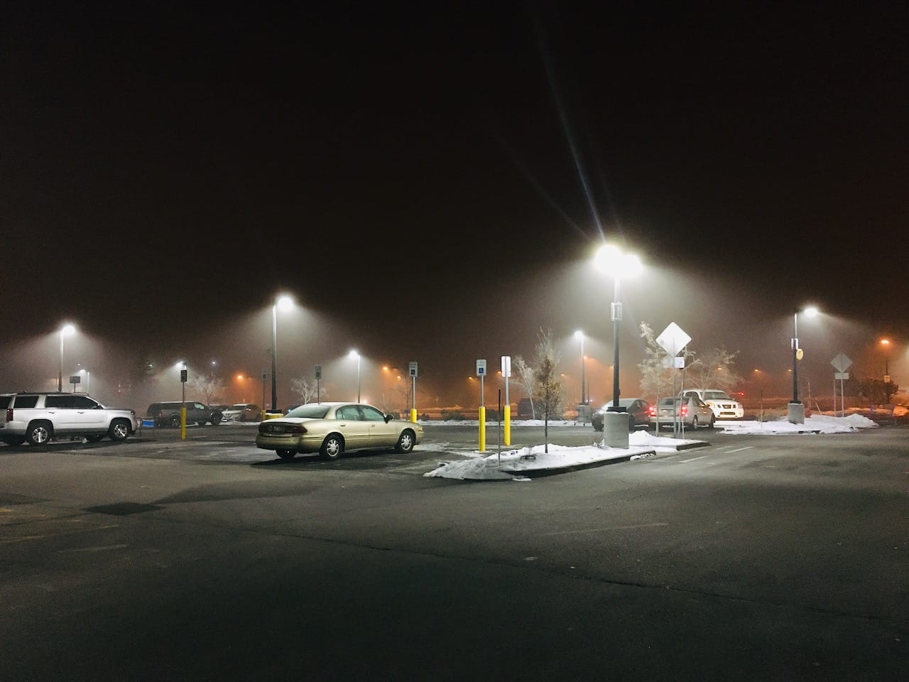 Specialized Snow Services